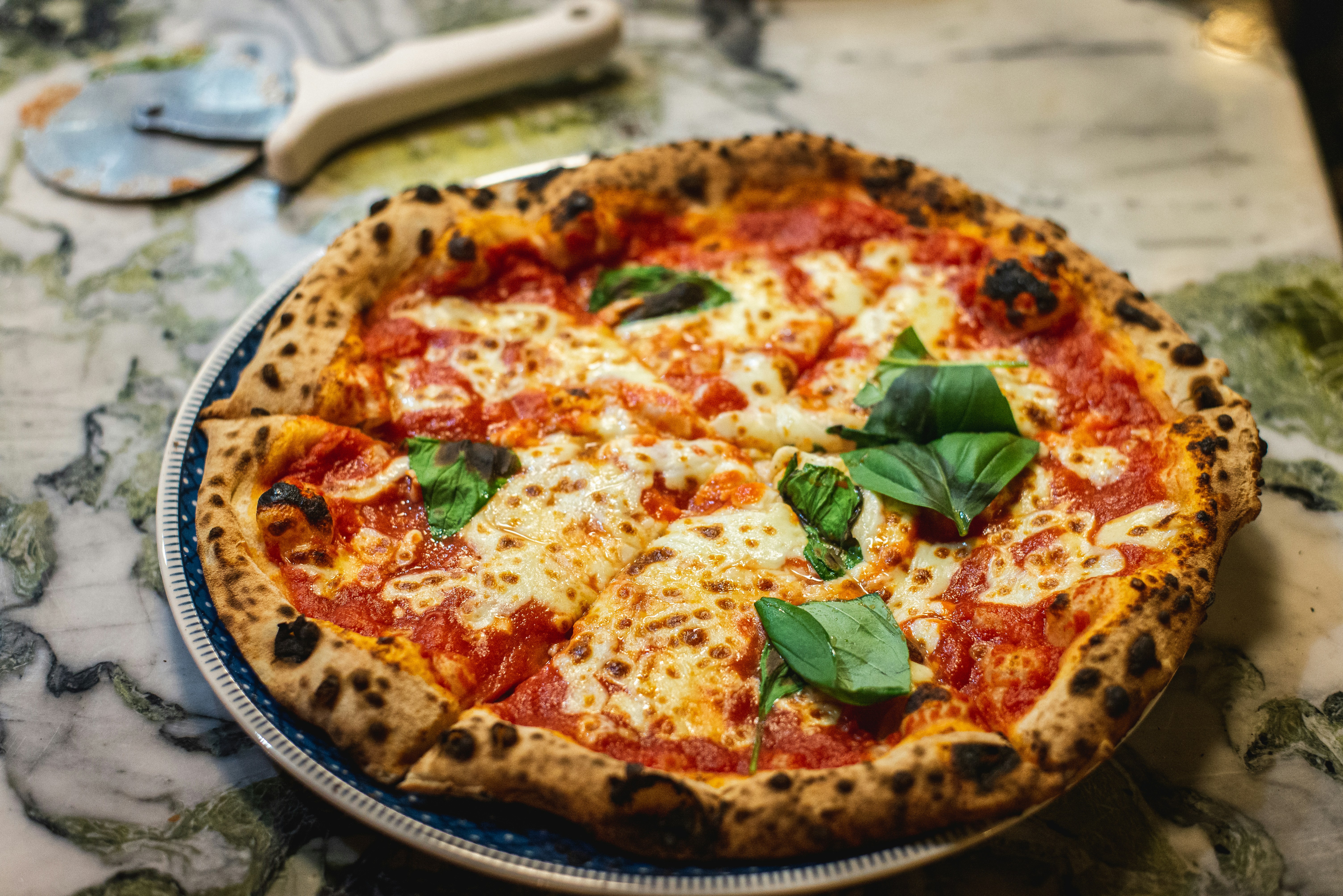 Wood-fired pizza with basil and charred crust
